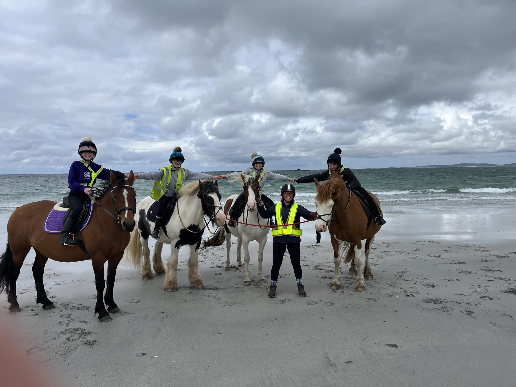 Horses on beach